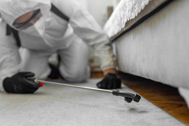 Professional Bed Bug Control technician working in Wedgefield, FL