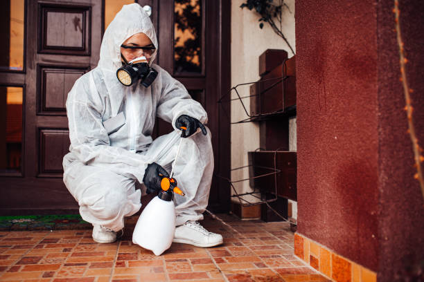 Reliable Bed Bug Control contractor in Wedgefield, FL by Nex Pest Control